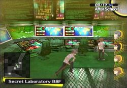 Persona 4 Naoto Dungeon Id Card